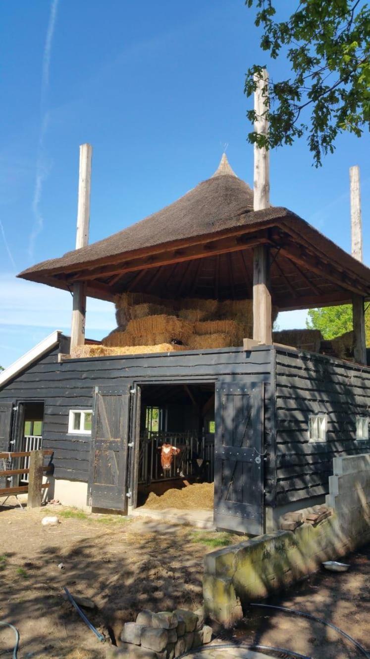 Landgoed Groot Boerle Bed & Breakfast Wijhe Luaran gambar