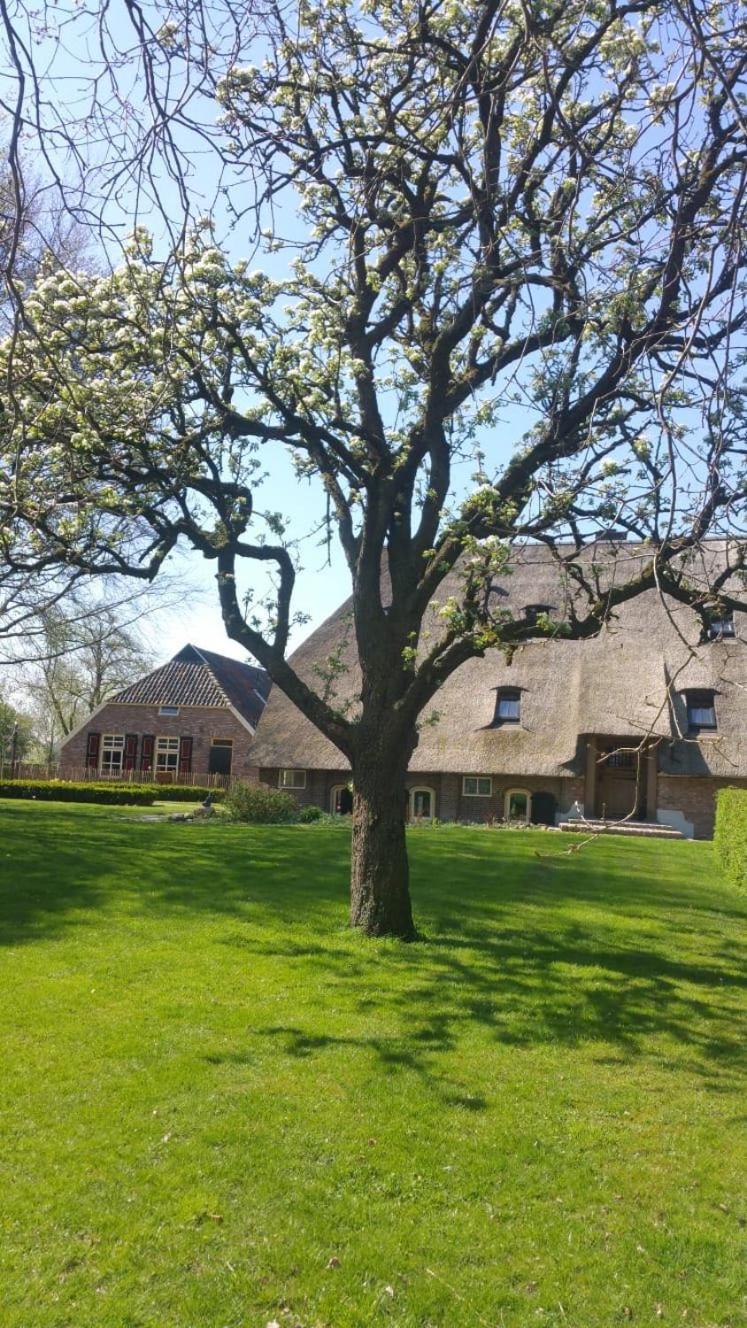 Landgoed Groot Boerle Bed & Breakfast Wijhe Luaran gambar