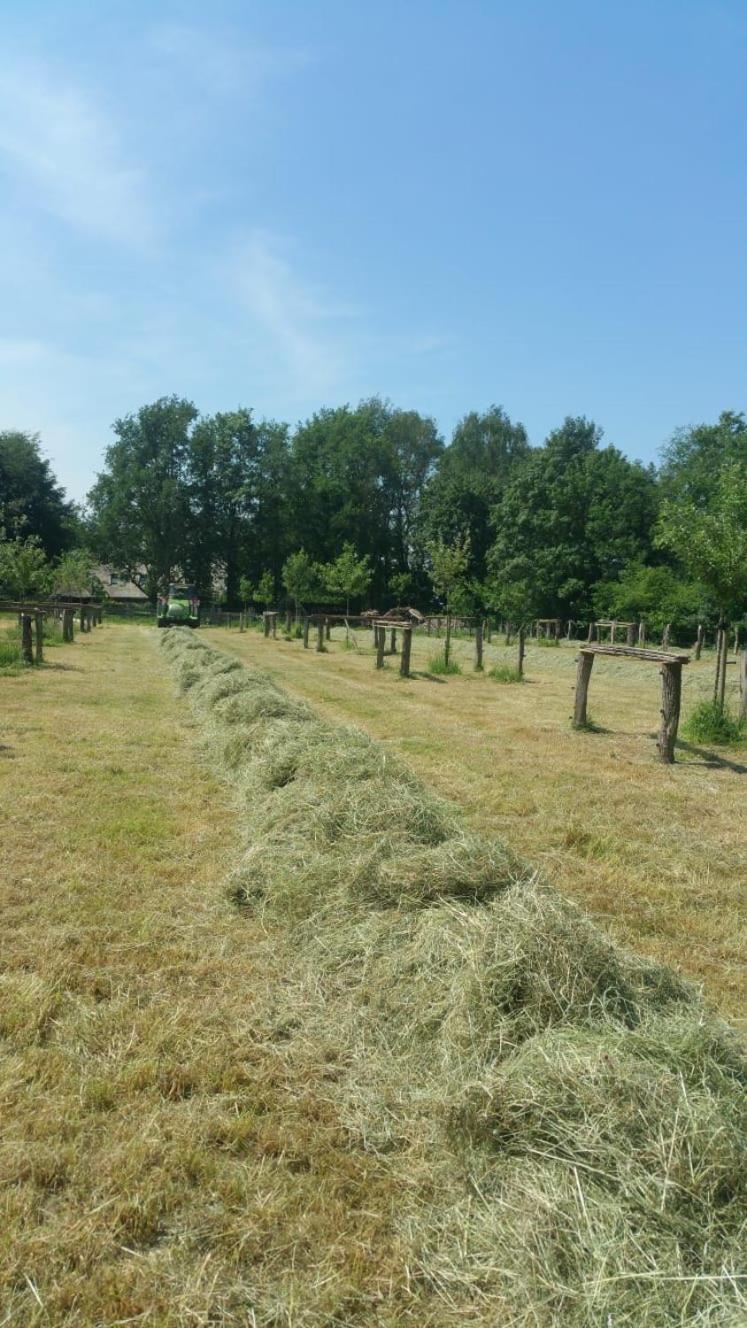 Landgoed Groot Boerle Bed & Breakfast Wijhe Luaran gambar